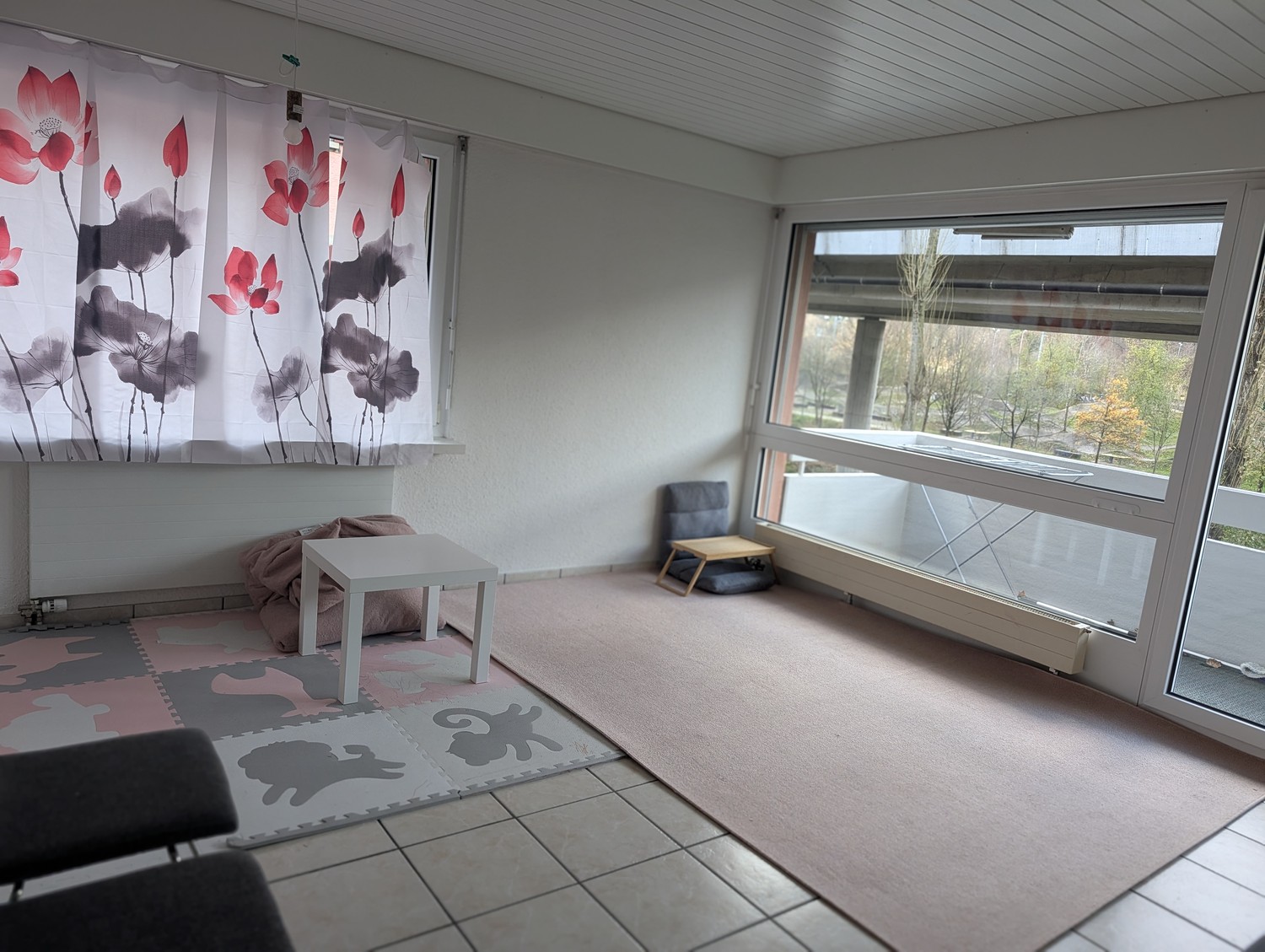 2 ½ Zimmer Wohnung