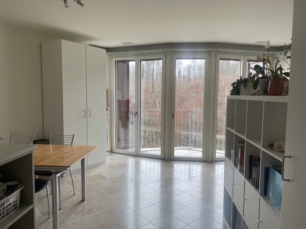 1 ½ Zimmer-Apartment