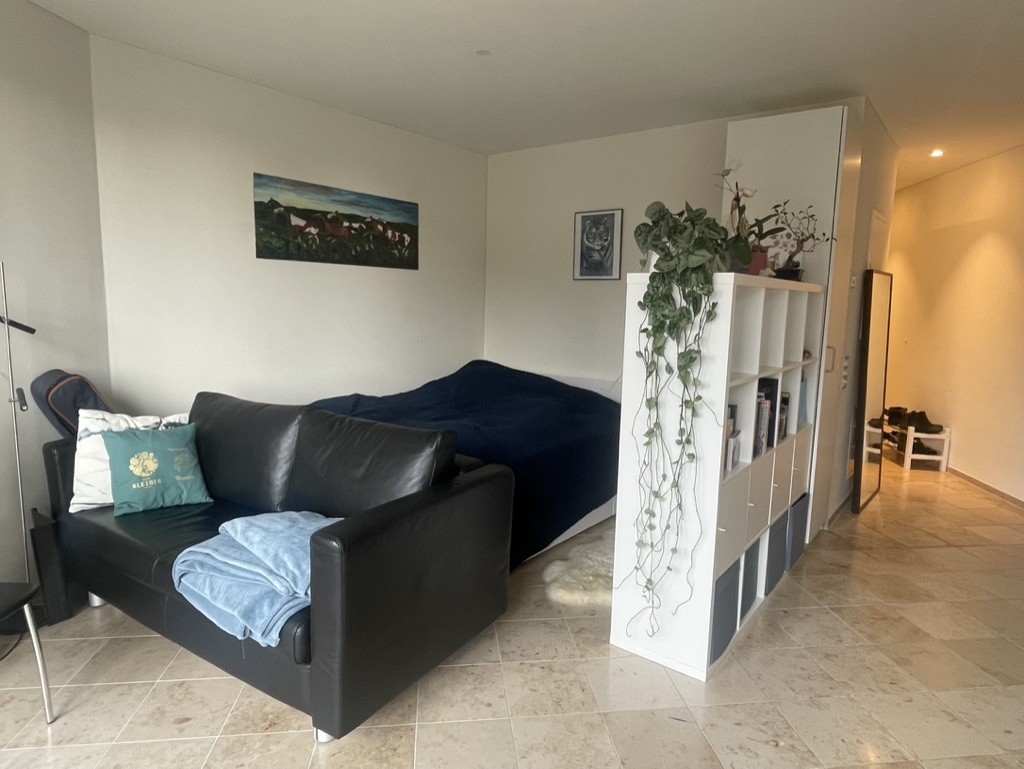 1 ½ Zimmer-Apartment