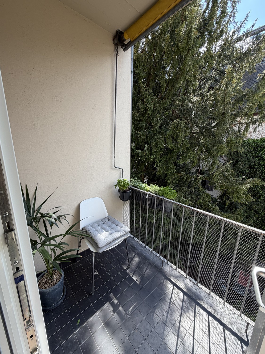 Appartamento di 3 ½ locali, foto 10 di 10