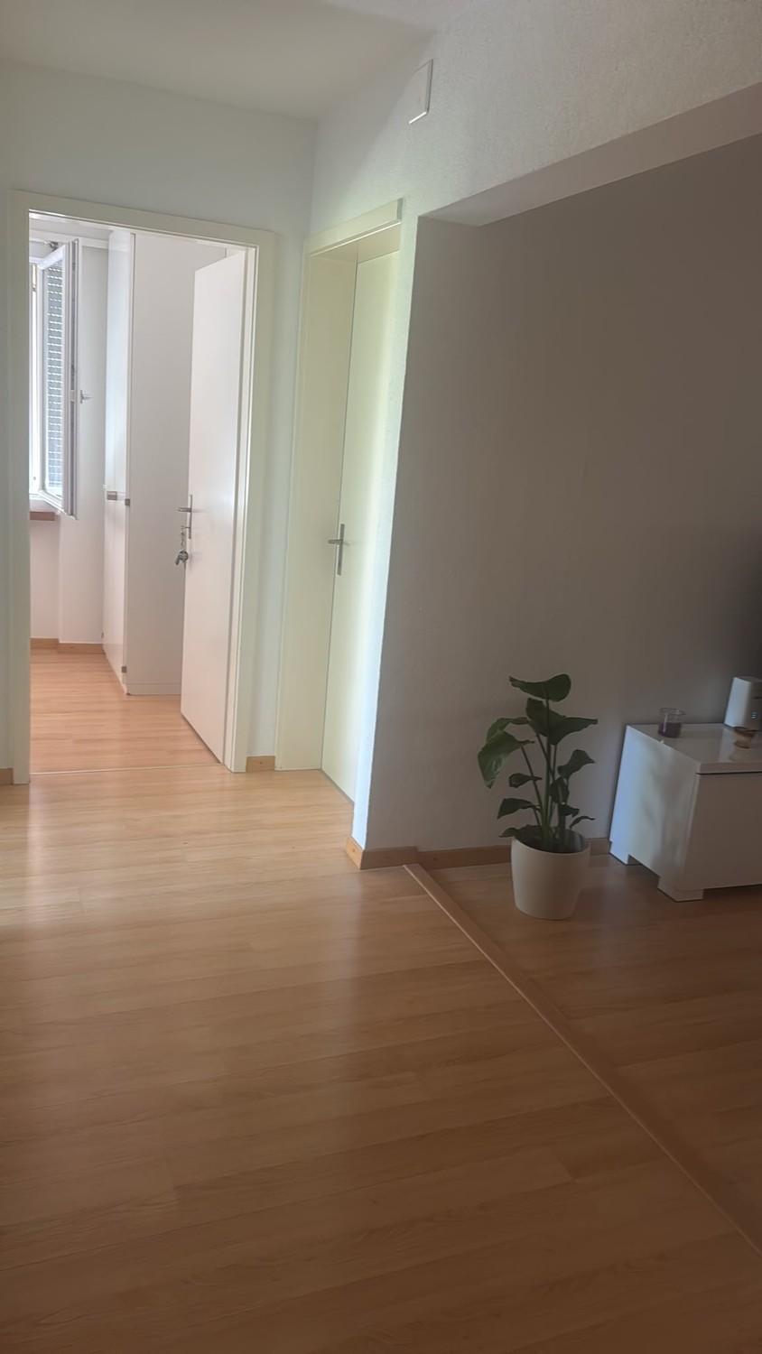 Room in a shared flat