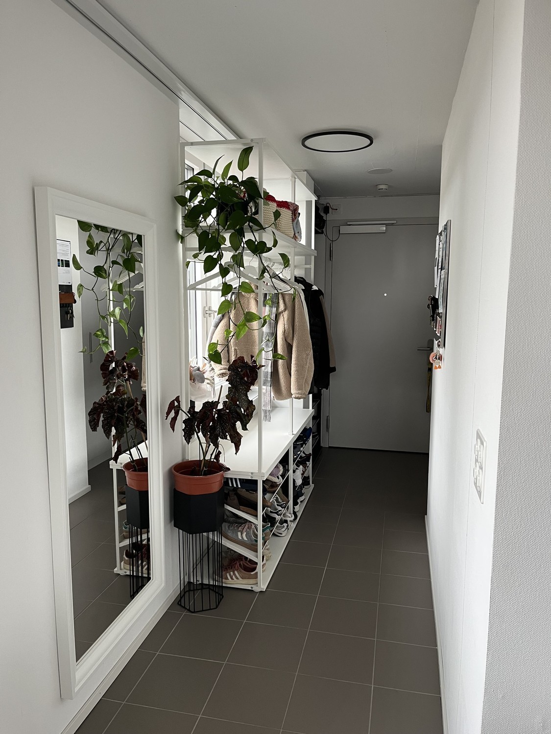 Room in a shared flat