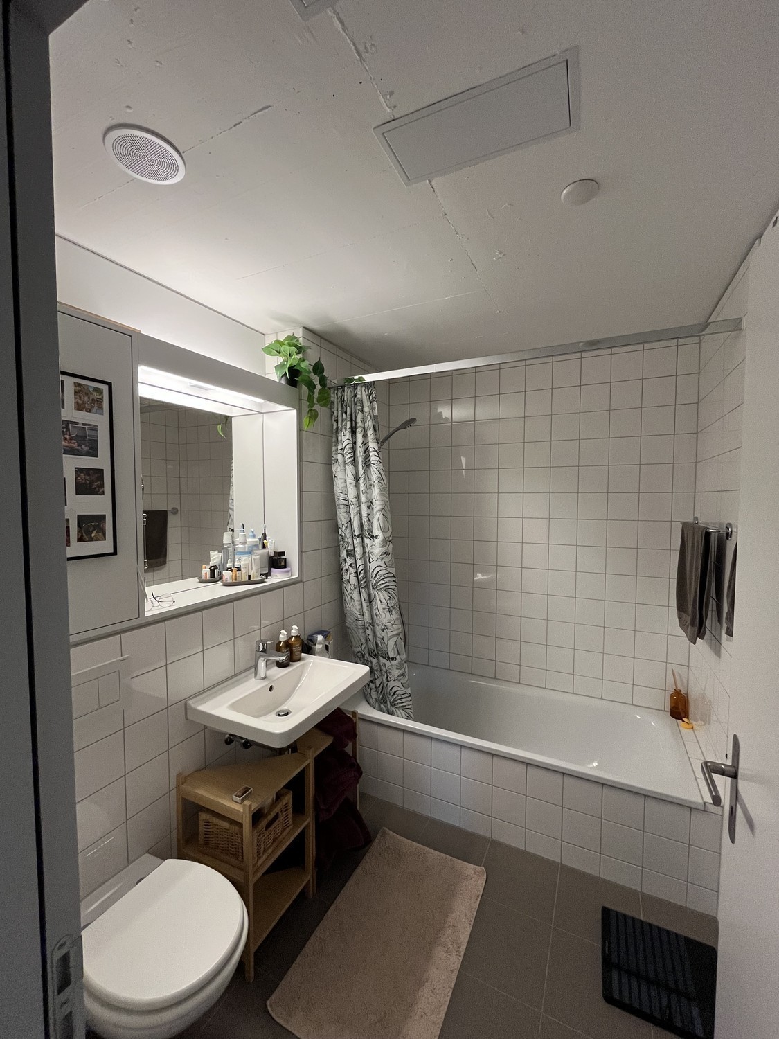 Room in a shared flat