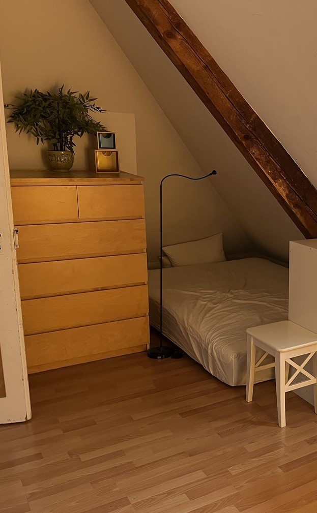Room in a shared flat