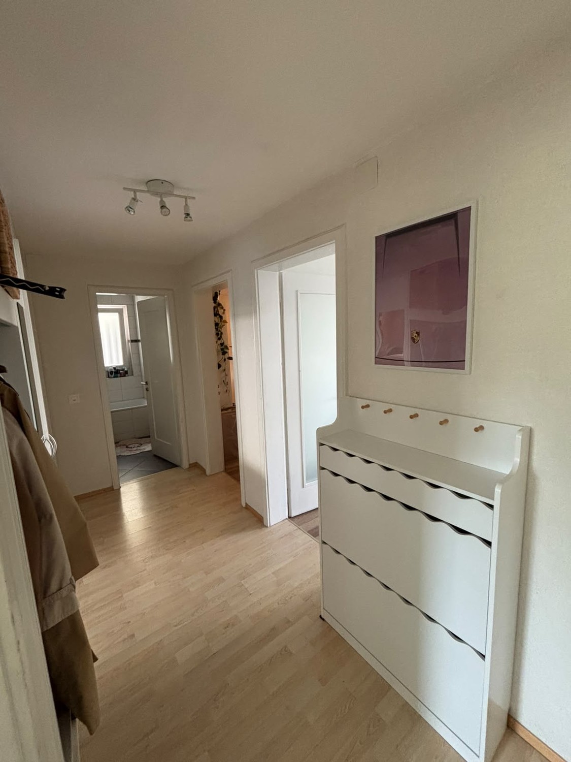 Room in a shared flat
