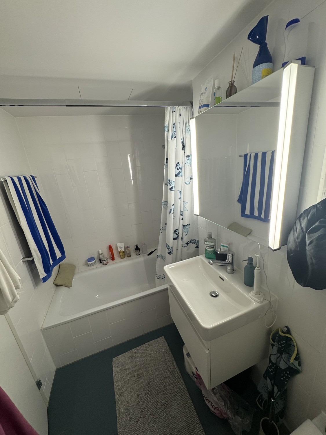 Appartement de 2 ½ pièces
