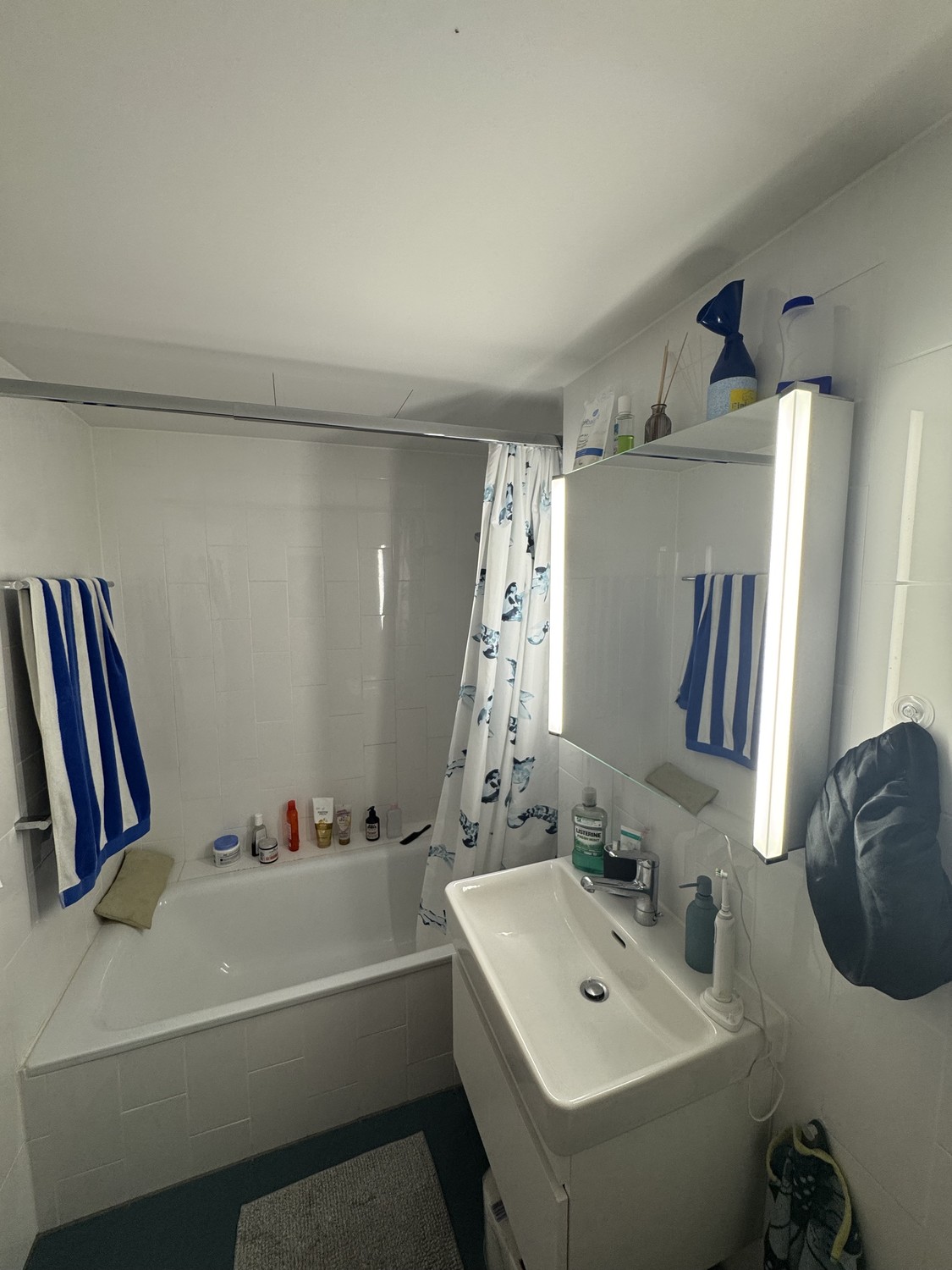 Appartement de 2 ½ pièces