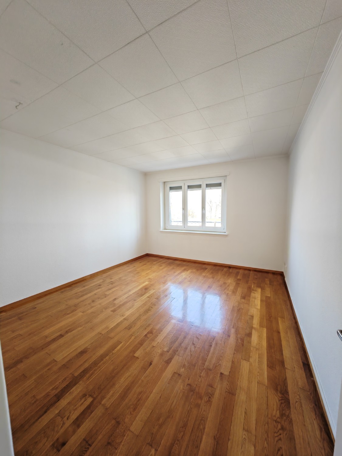 2 rooms apartment, Foto 2 von 4
