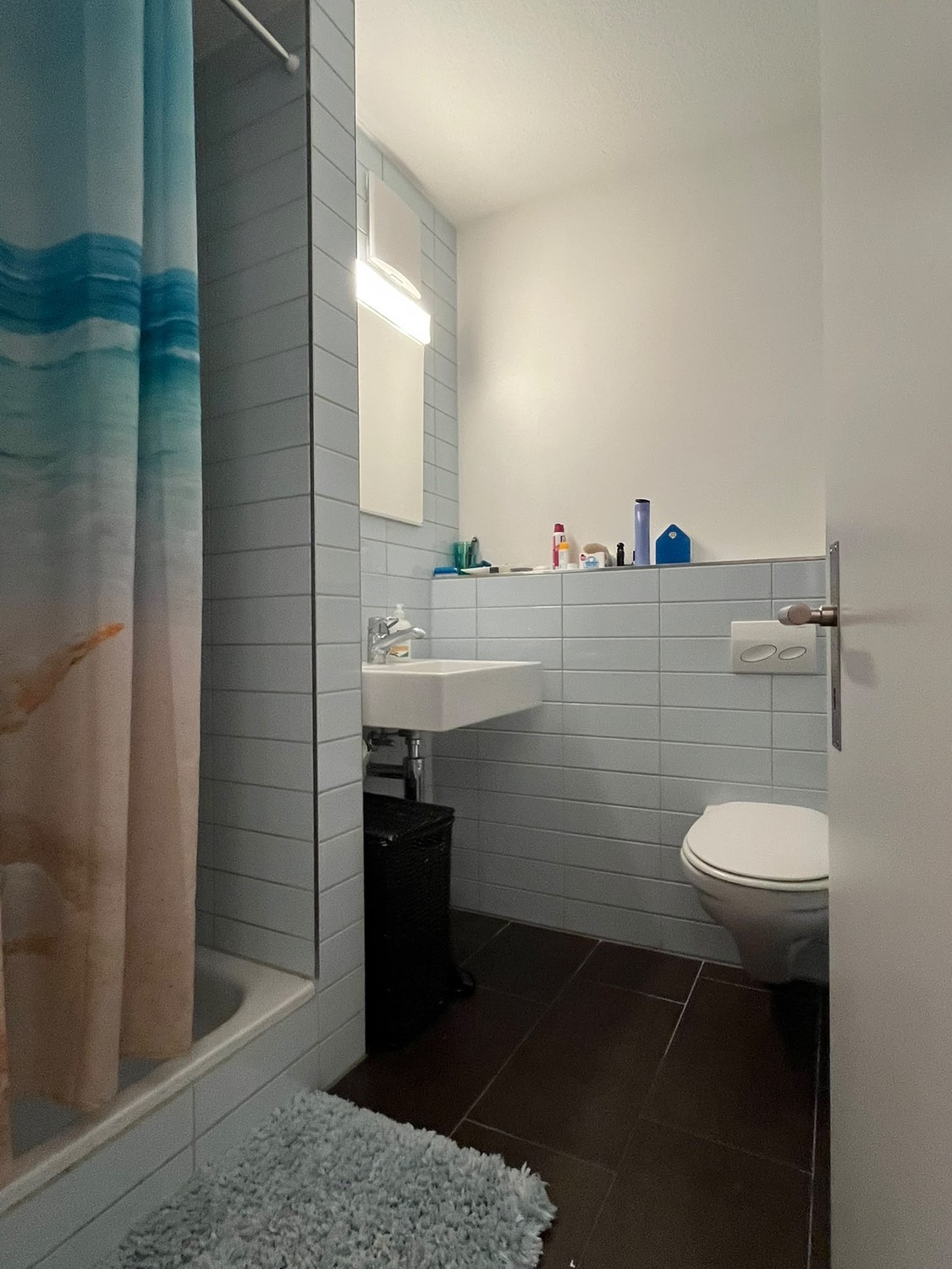 Appartement de 1 ½ pièces