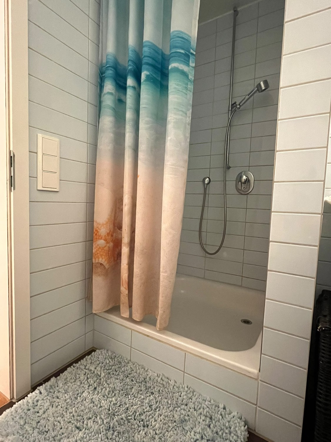 Appartement de 1 ½ pièces