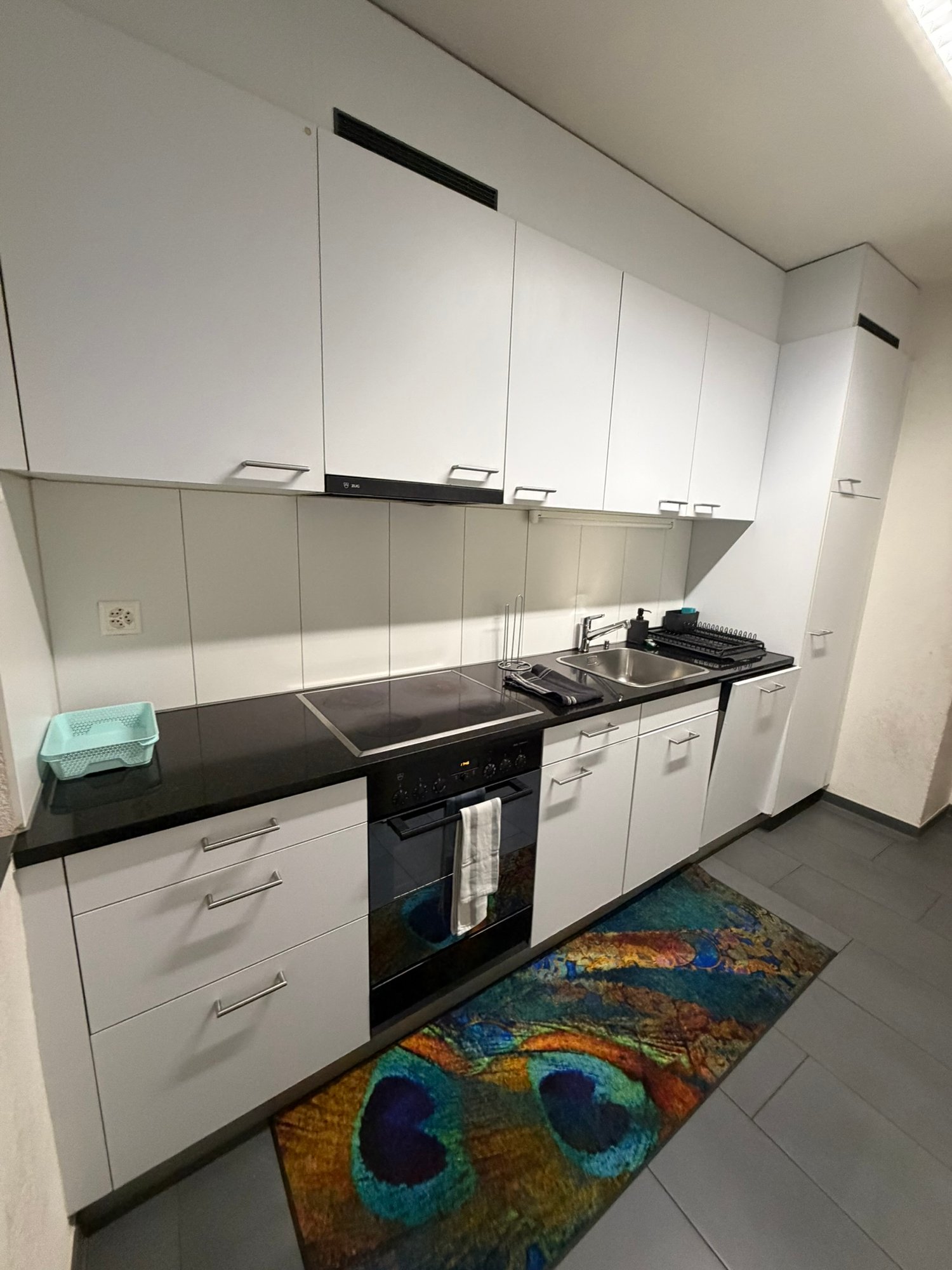 2 ½ rooms apartment