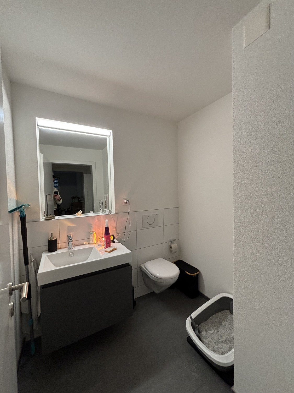 2 ½ rooms apartment