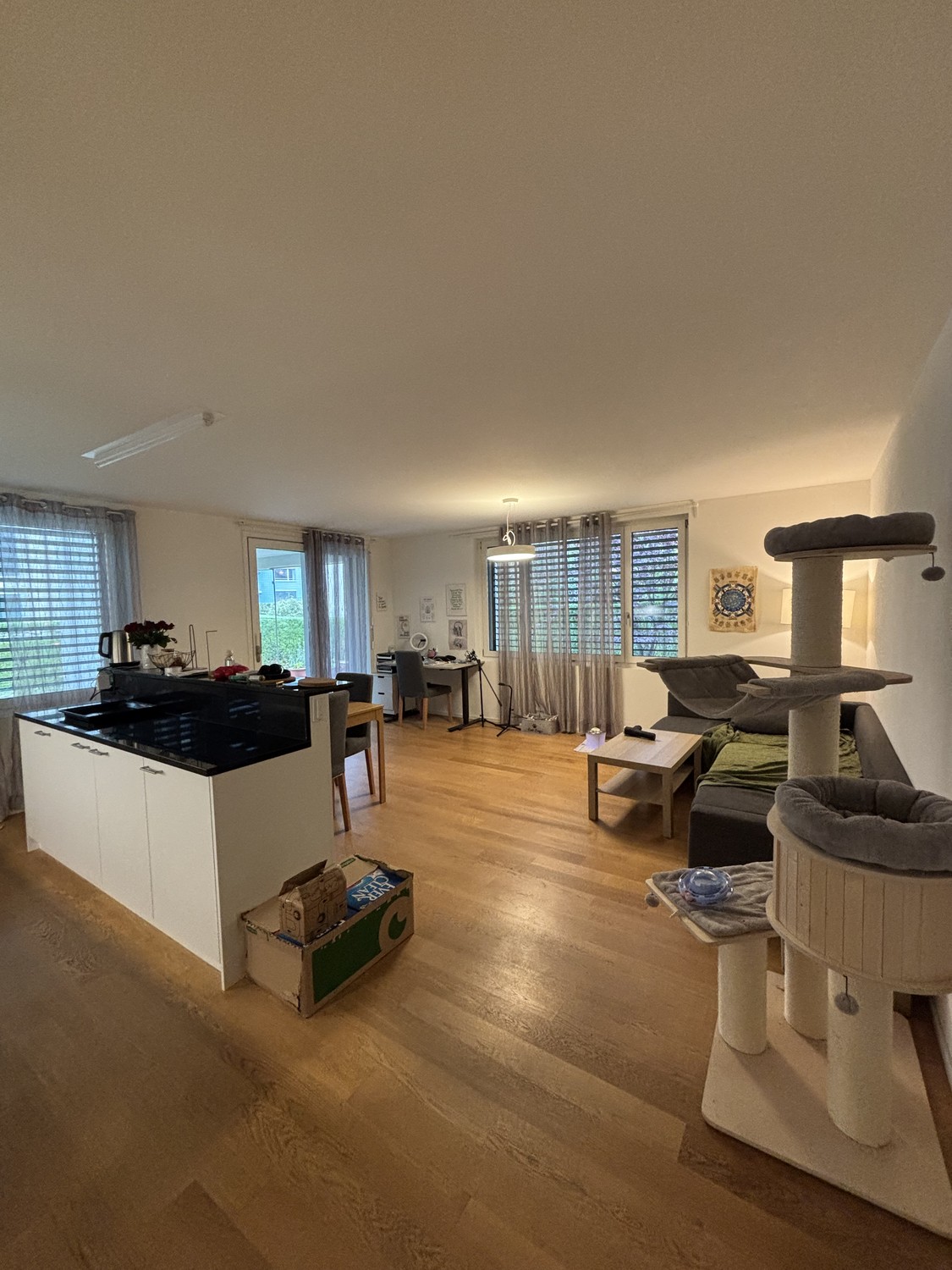2 ½ rooms apartment