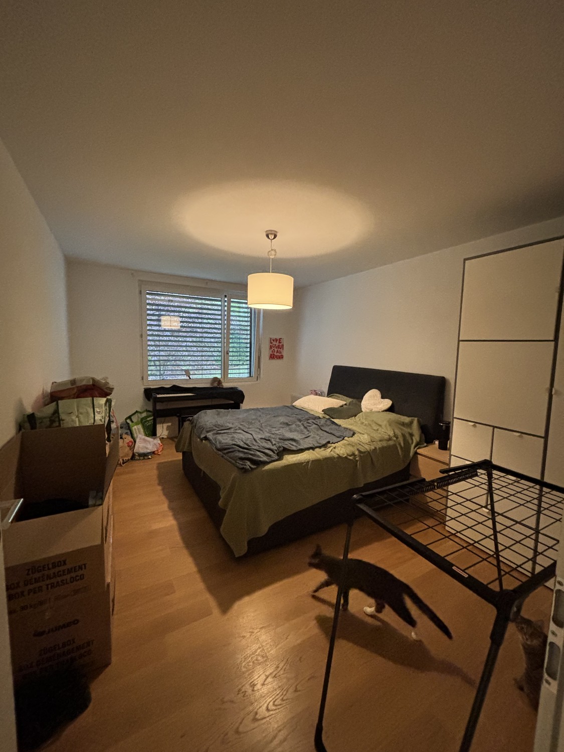 2 ½ rooms apartment