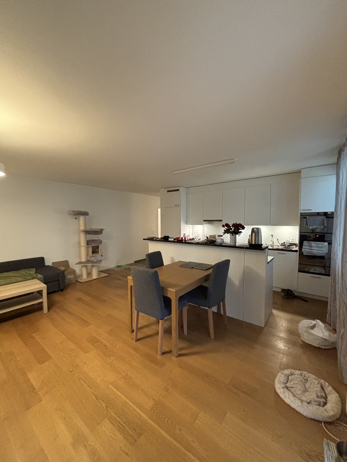 2 ½ rooms apartment