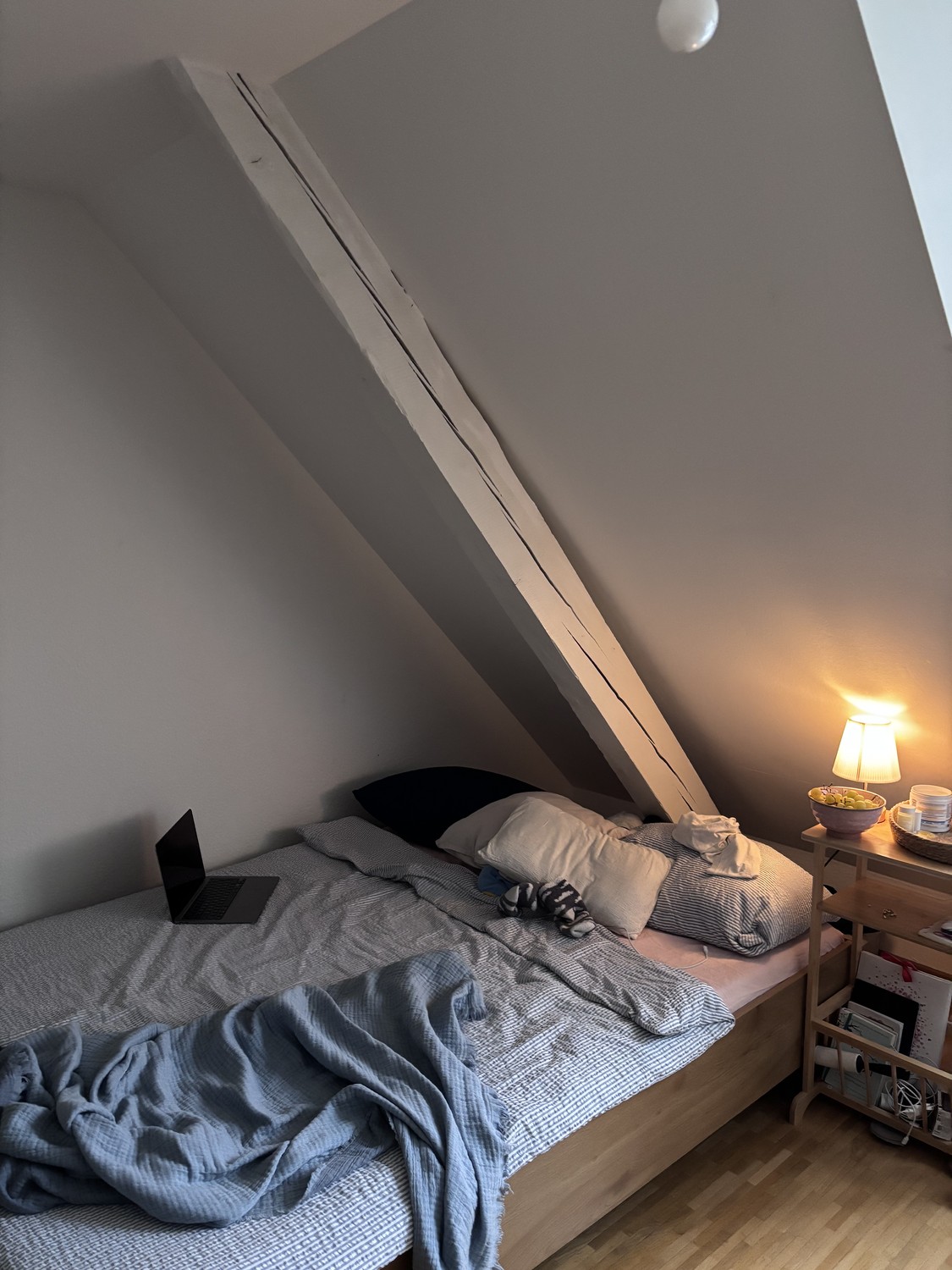 1 room single house, Foto 3 von 7