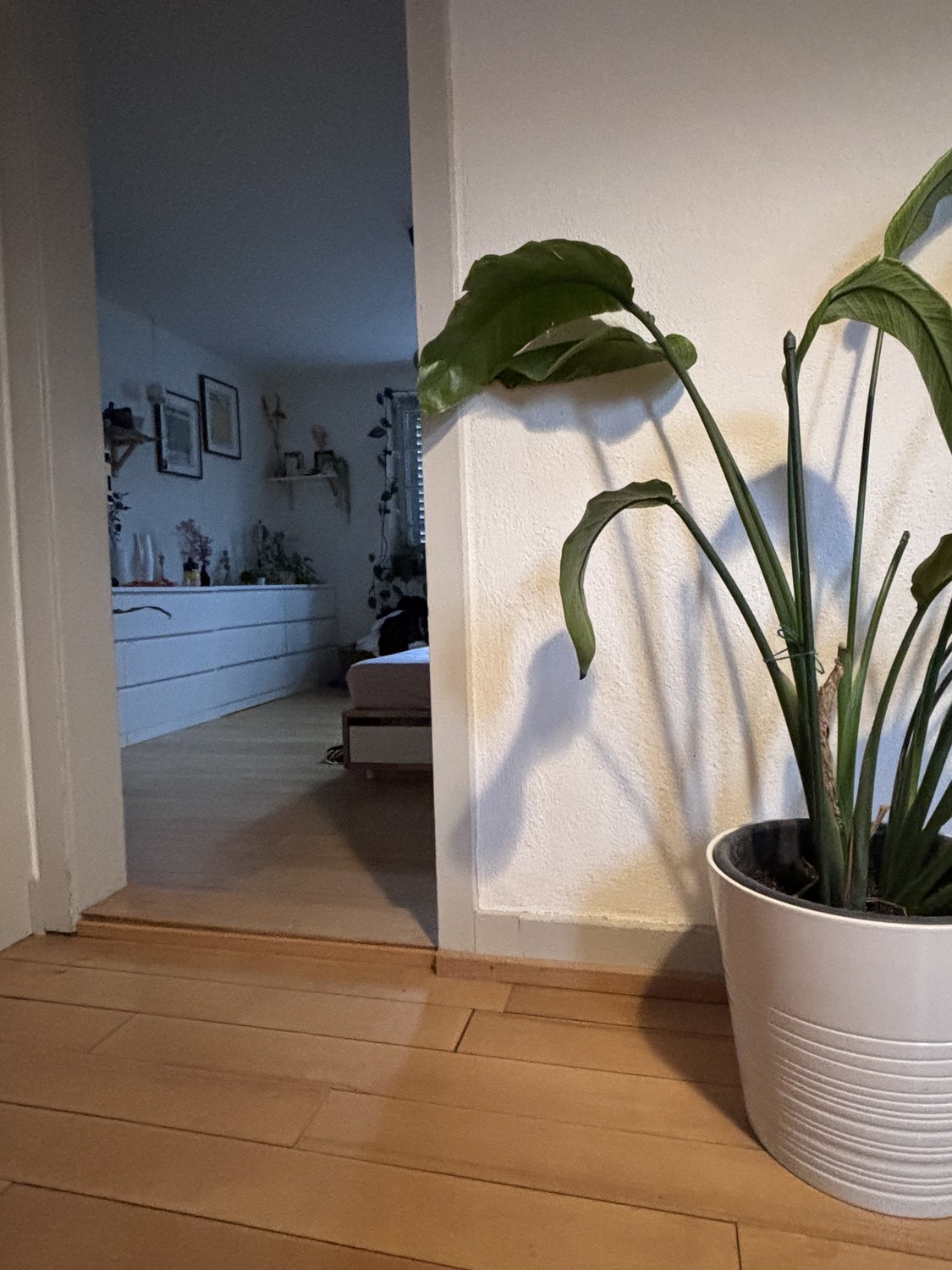 1 room single house, Foto 7 von 7