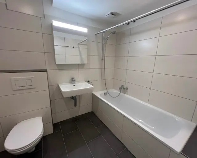 2 ½ Zimmer Wohnung