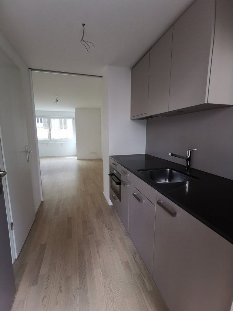 1 room apartment (3)