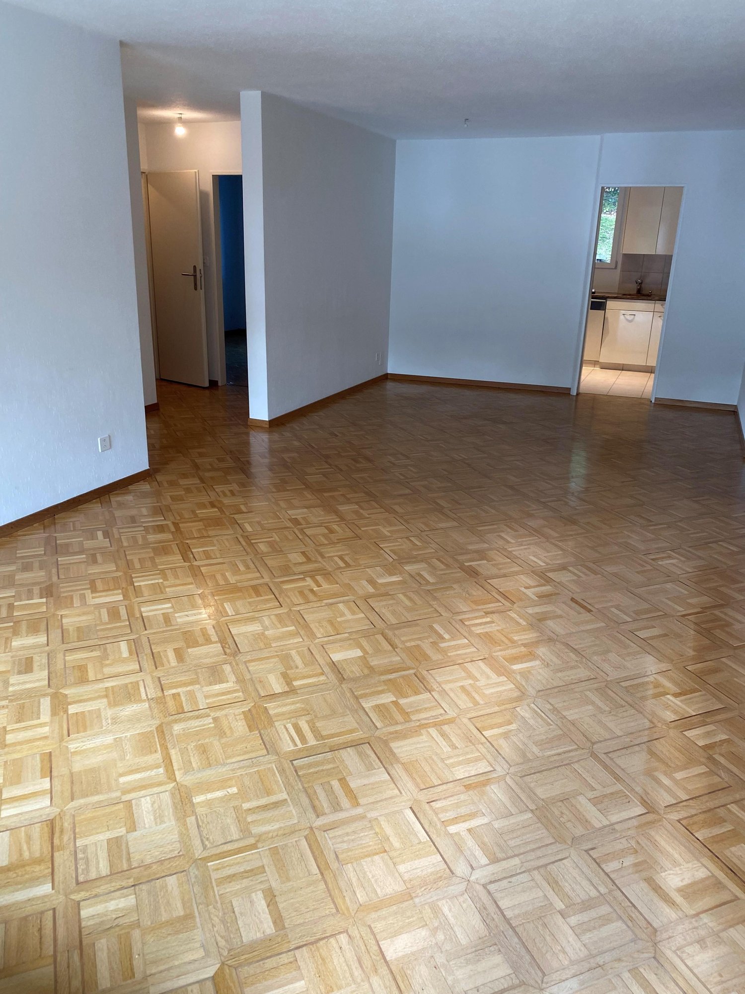 Appartement de 3 ½ pièces
