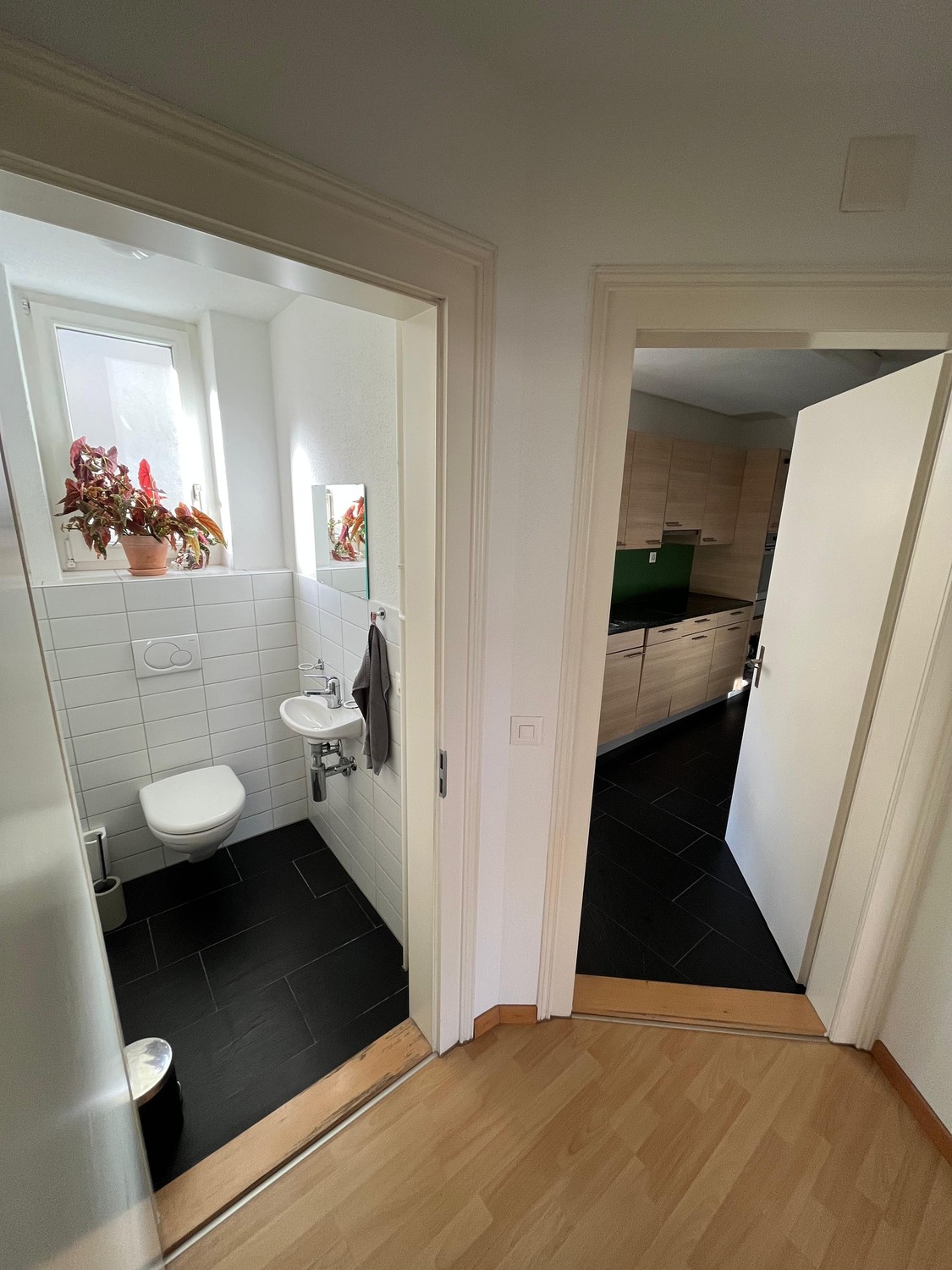 Appartement de 2 ½ pièces