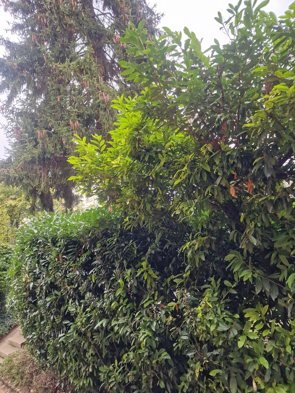 Appartamento di 2 ½ locali, foto 7 di 9