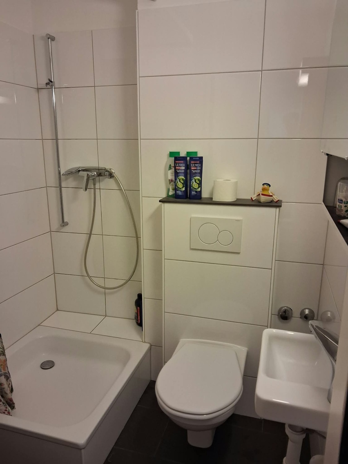 Appartement 1 pièce