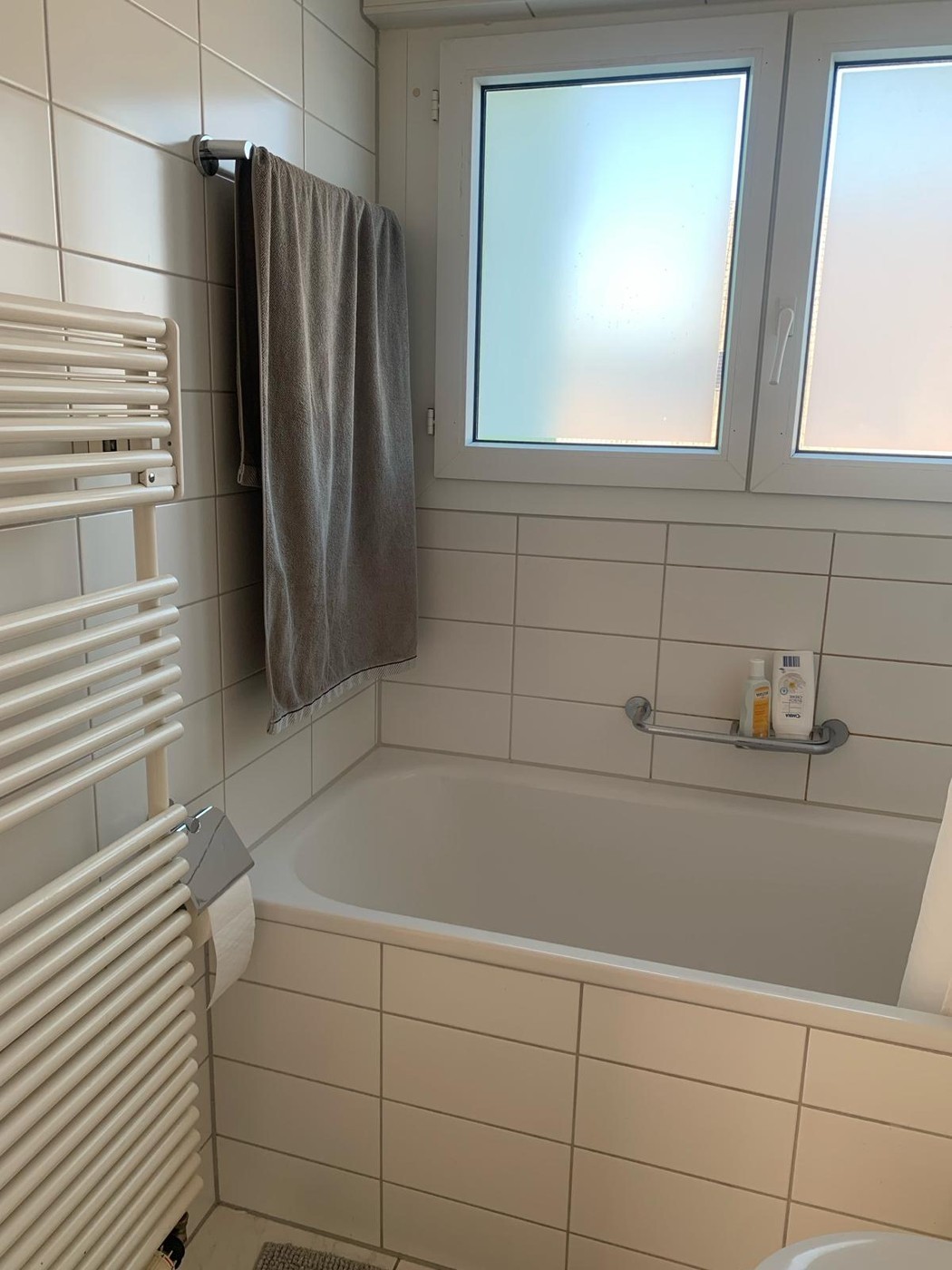 2 ½ Zimmer Wohnung
