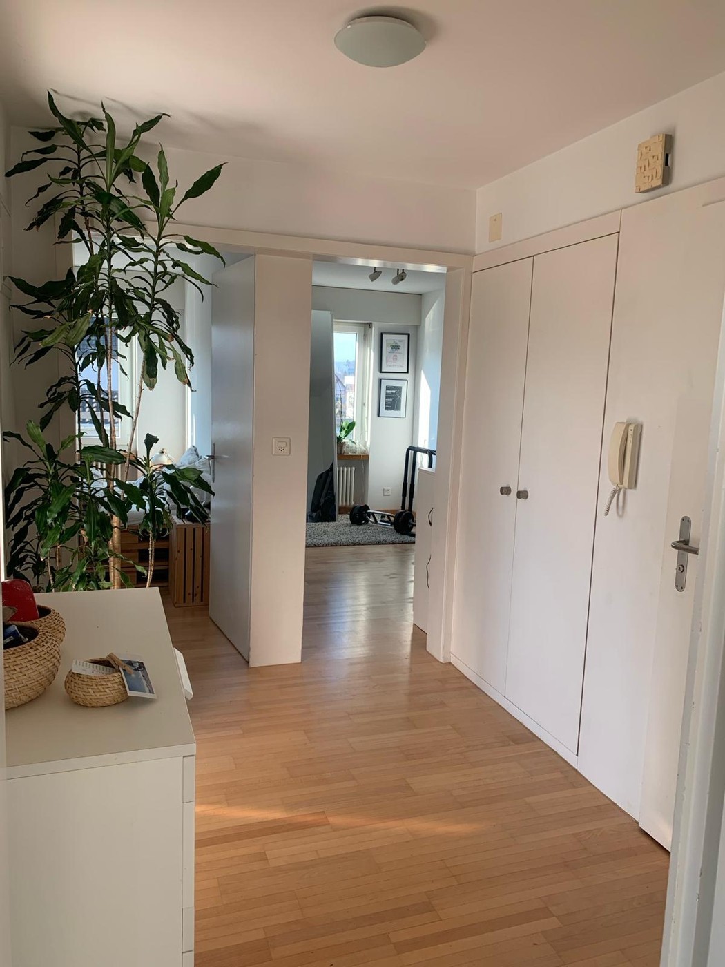 2 ½ Zimmer Wohnung