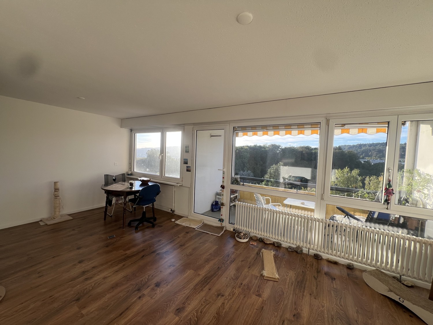 appartement 1 pièce