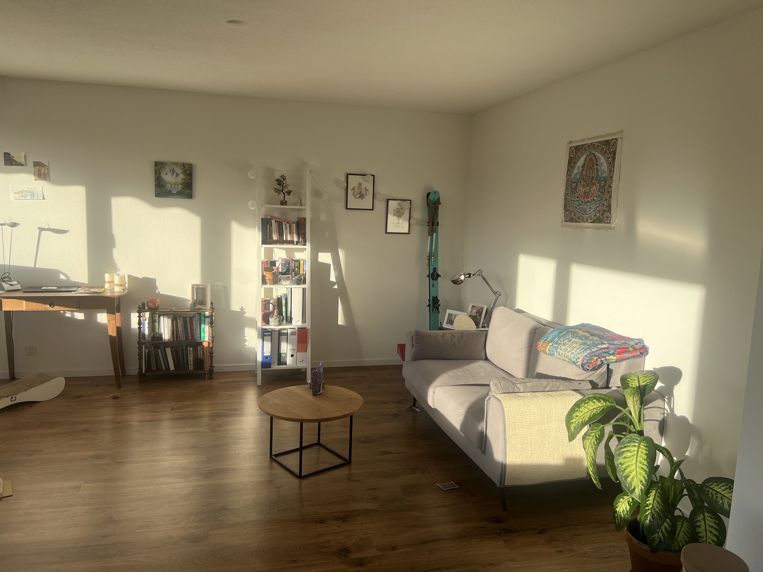 appartement 1 pièce