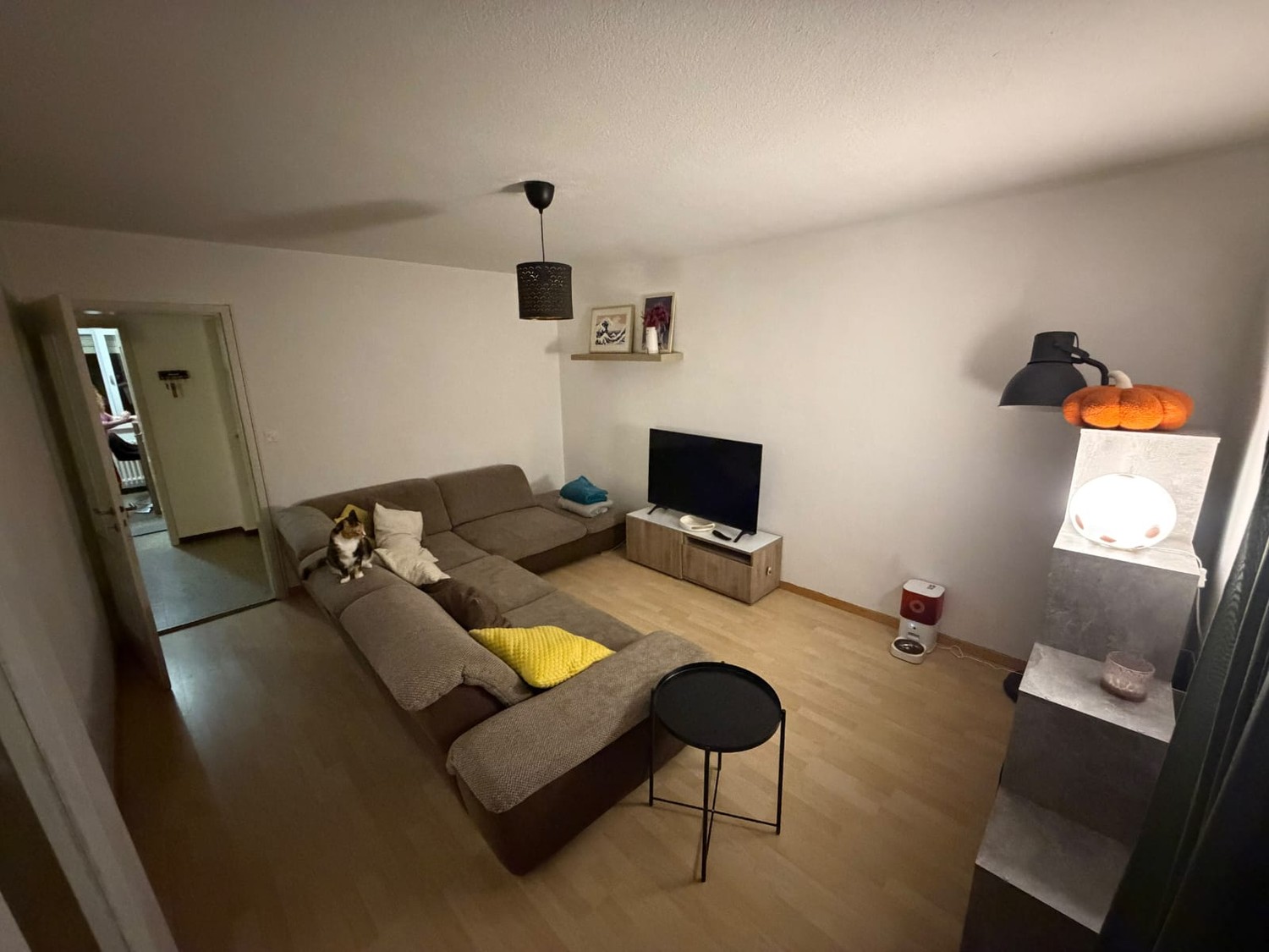 3 ½ Zimmer Wohnung