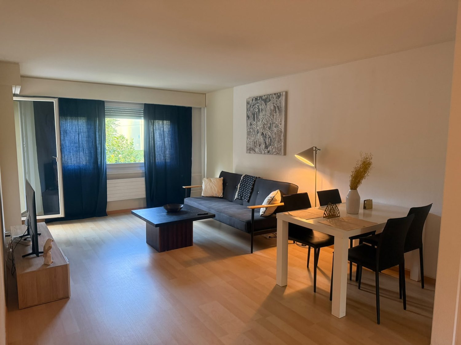 Appartamento di 2 ½ locali