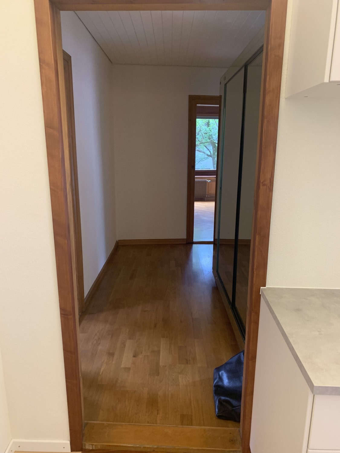 Appartement de 3 ½ pièces