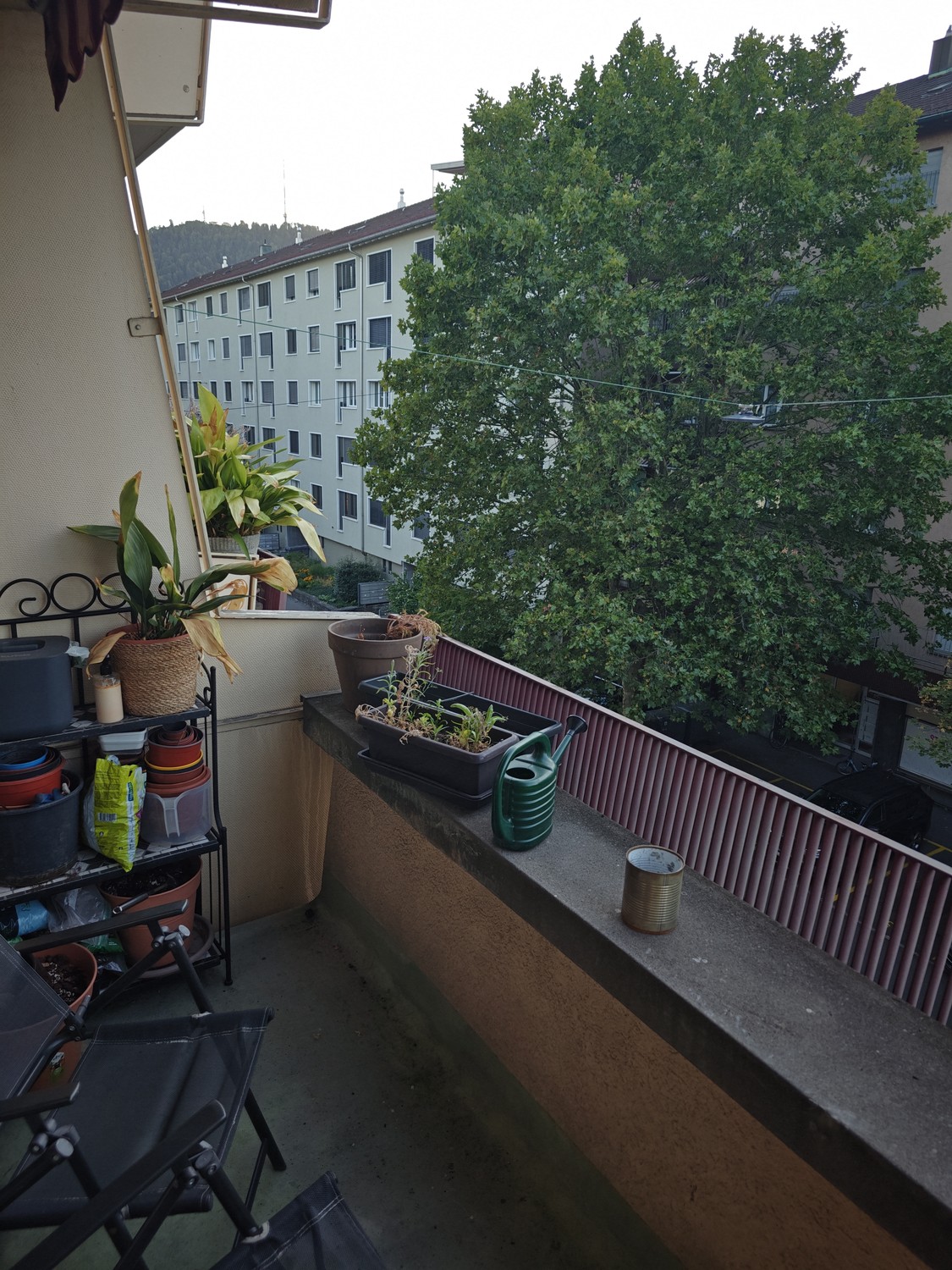 Appartamento di 2 ½ locali