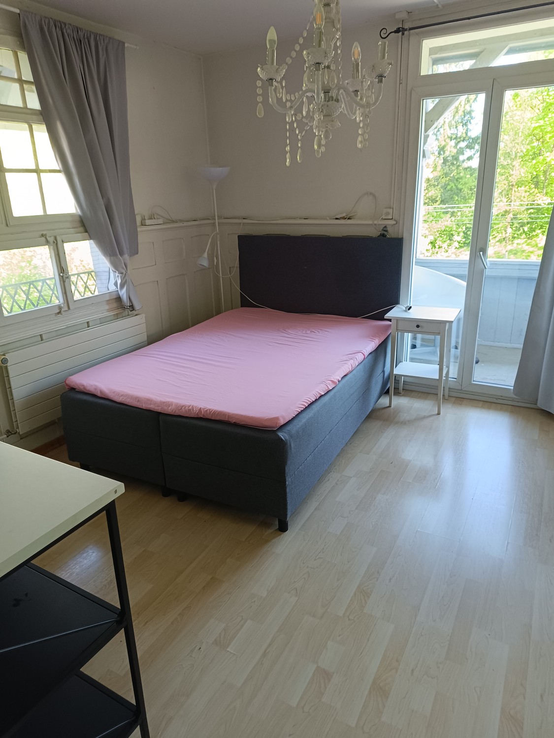Stanze in appartamento condiviso