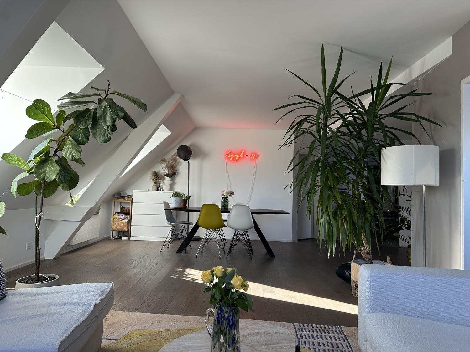 Room in a shared flat