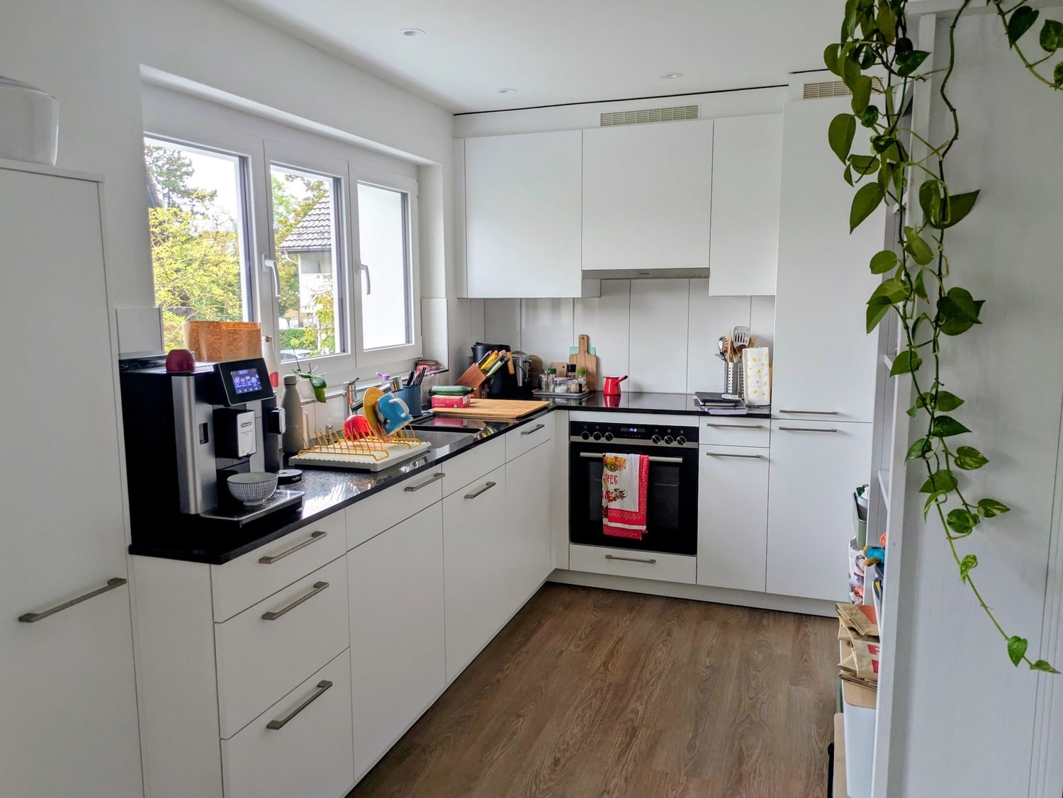 Appartement de 3 ½ pièces