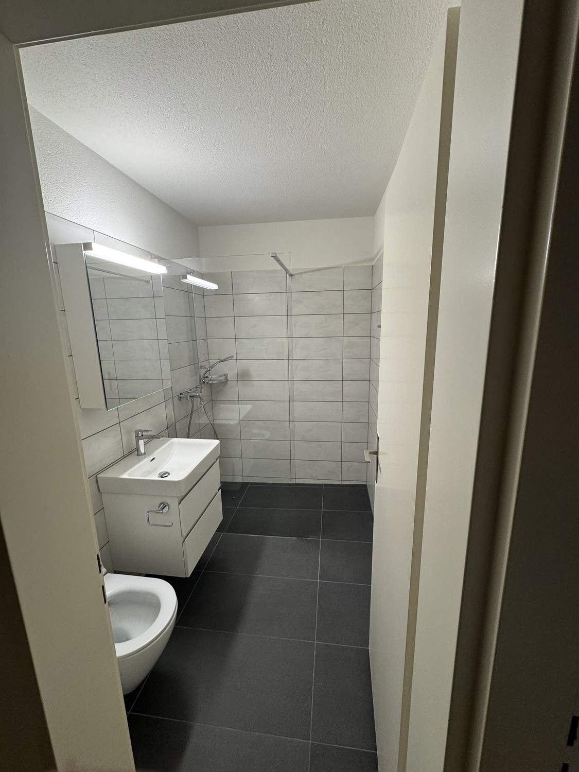 3 ½ Zimmer-Wohnung