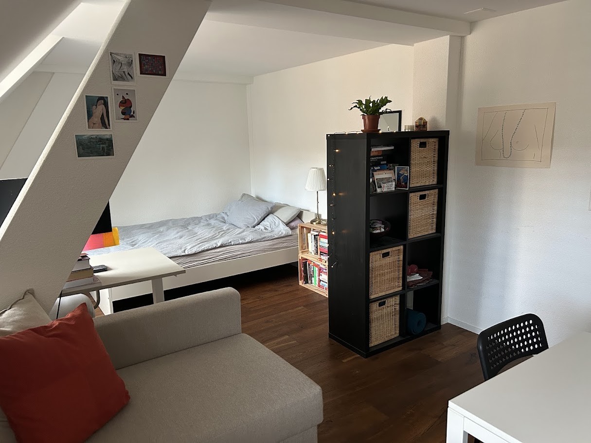 Appartement 1 ½ pièces