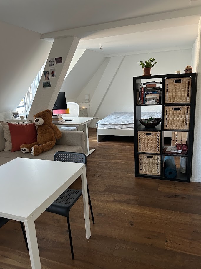 Appartement 1 ½ pièces