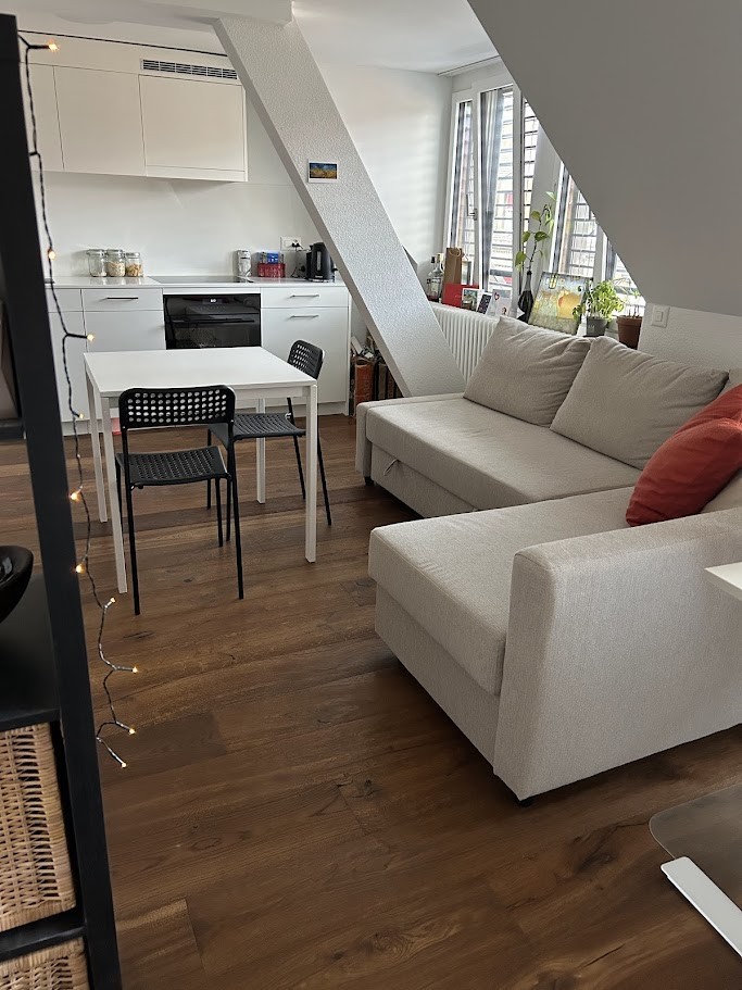 Appartement 1 ½ pièces