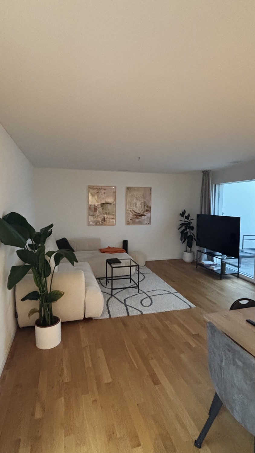 4 ½ rooms apartment
