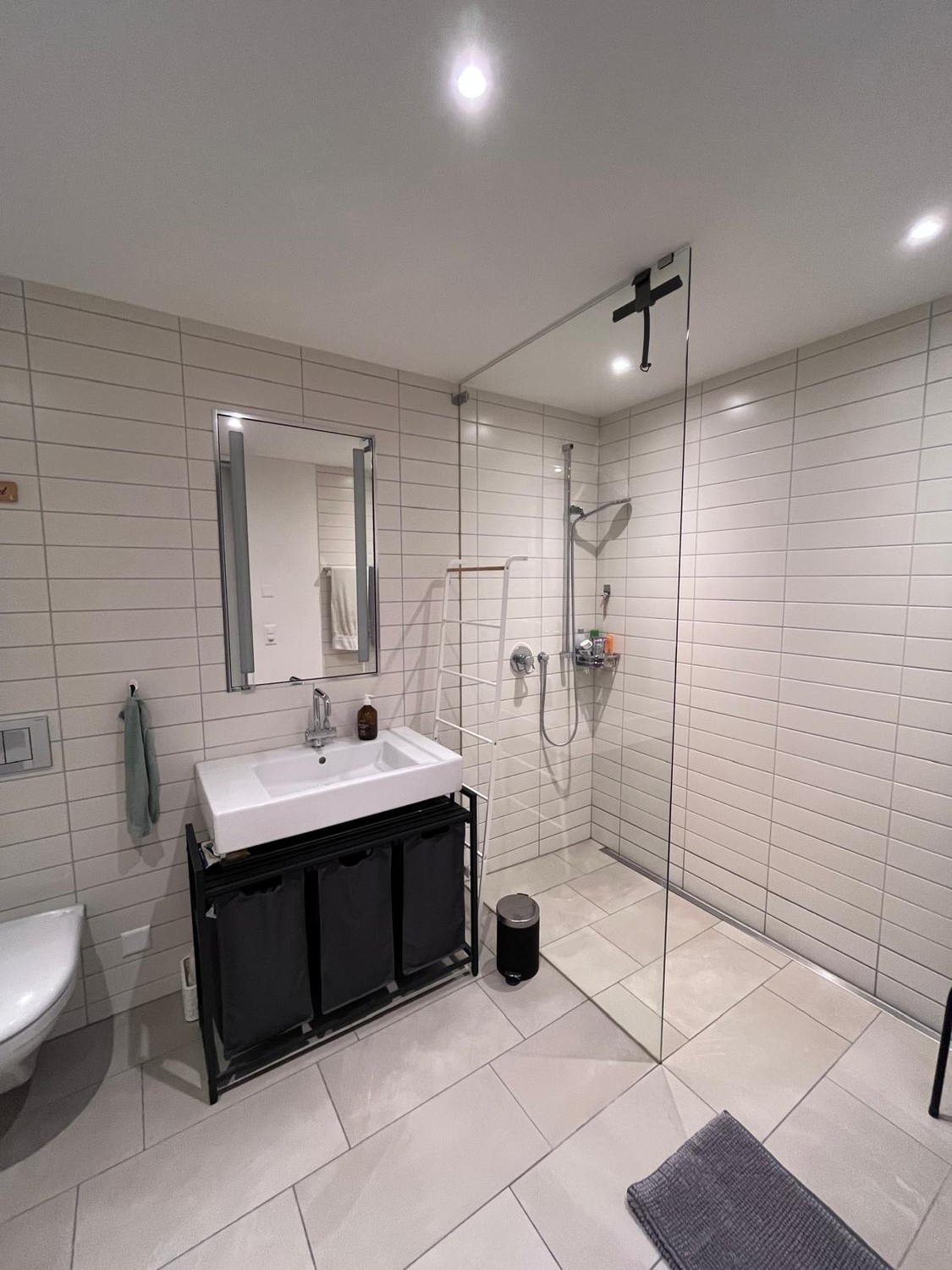 Appartement de 3 ½ pièces