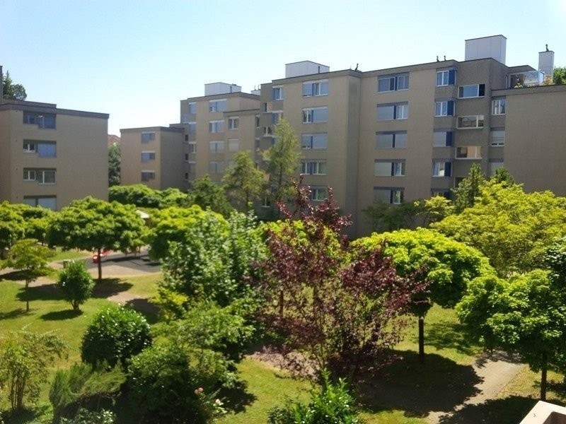 3-Zimmer-Wohnung