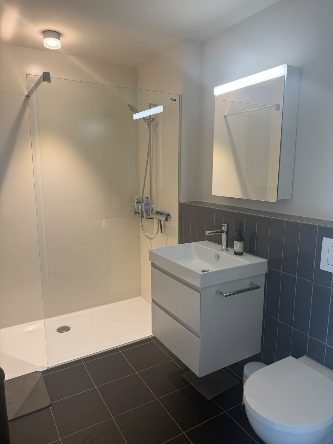 Appartamento di 3 ½ locali, foto 5 di 10
