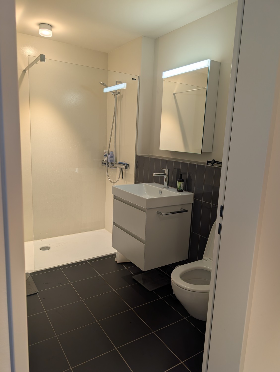 Appartamento di 3 ½ locali, foto 9 di 10