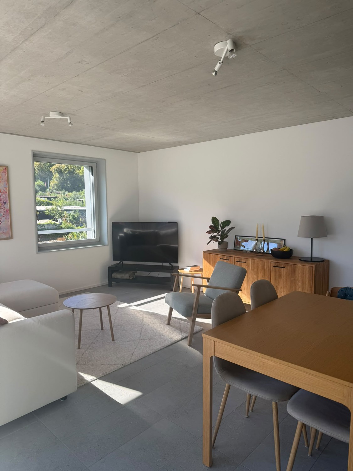 Appartamento di 3 ½ locali, foto 1 di 10