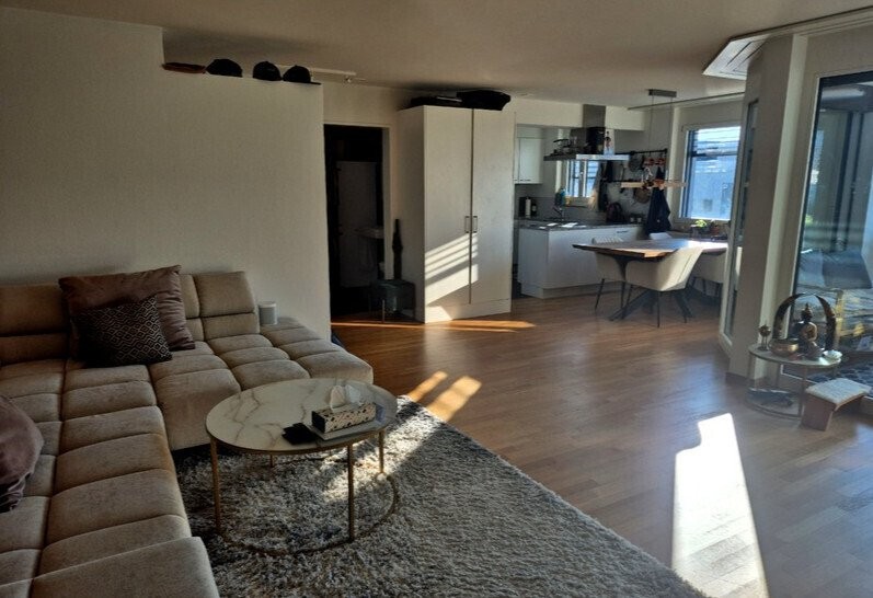 2 ½ rooms furnished flat