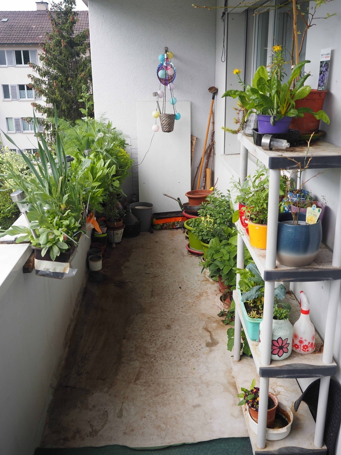 Chambre en colocation